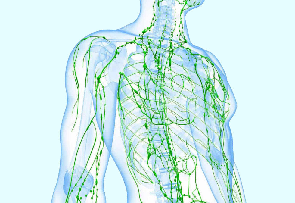 Benefits of Lymphatic Drainage Massage