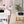 Vacuum Breast Lift Machine for Sale - Mychway