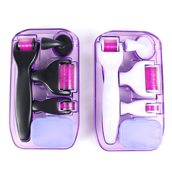 Two Colors of MS-WA206 6-in-1 Microneedle Derma Roller Set