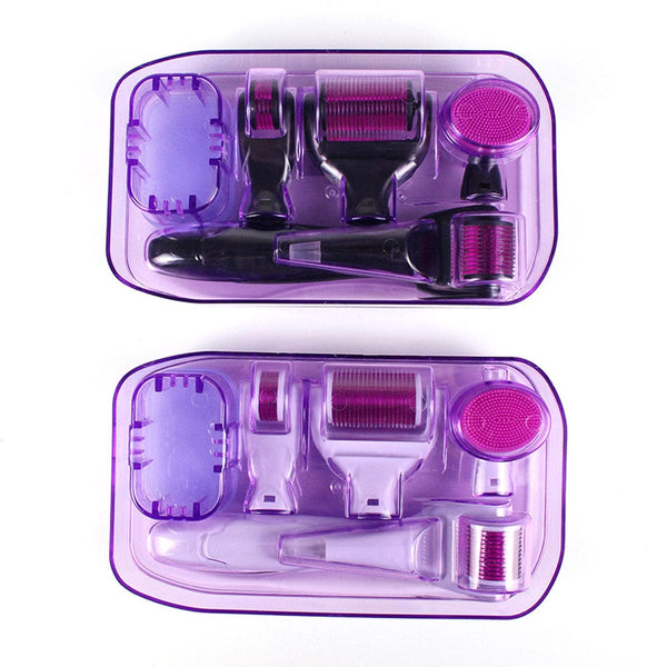 Two Colors of MS-WA206 6-in-1 Microneedle Derma Roller Set