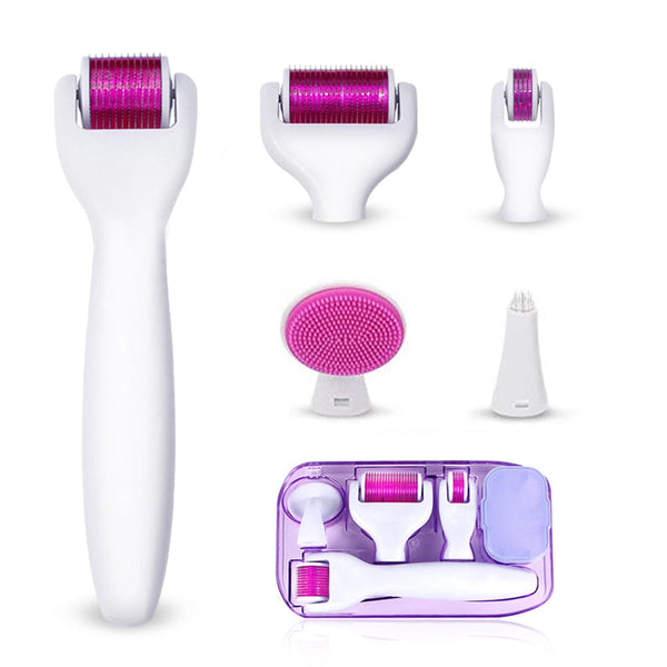 MS-WA206 6-in-1 Microneedle Derma Roller Set Display