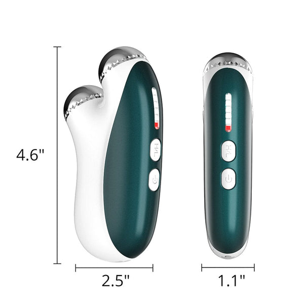 Mychway 2 In 1 Portable EMS Microcurrent RF Facial Machine