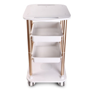 Iron Trolley Stand Display Cart