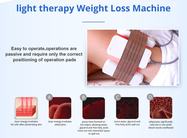 Light Therapy Principles of MS-7005F Stand-Type 5-In-1 40K Cavitation RF Machine