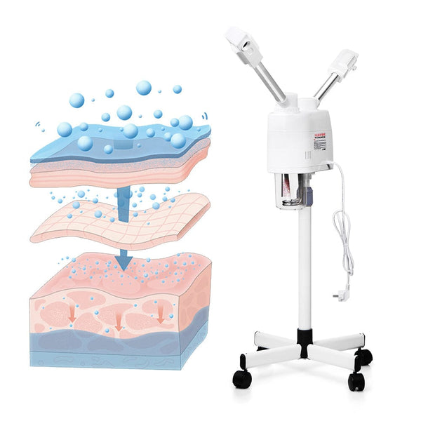 Principle Scheme of DTNV-707B Ozone Facial Steamer 